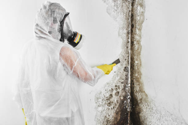 Best Residential Mold Removal  in Middleburg, PA