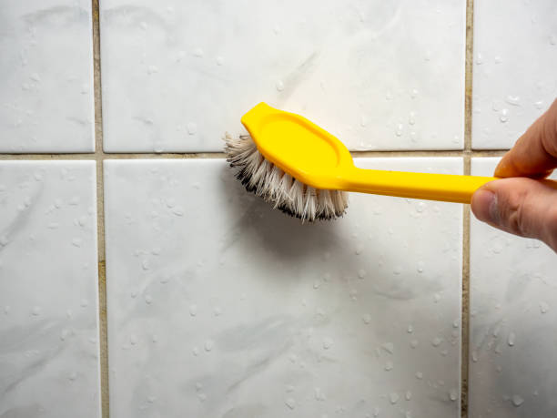 Best Emergency Mold Removal  in Middleburg, PA
