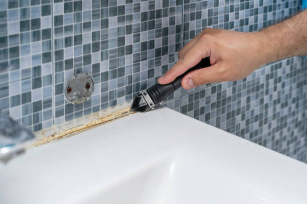Best Professional Mold Removal  in Middleburg, PA